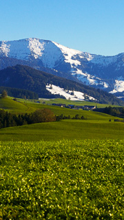 Gstefhrungen zu Naturerlebis